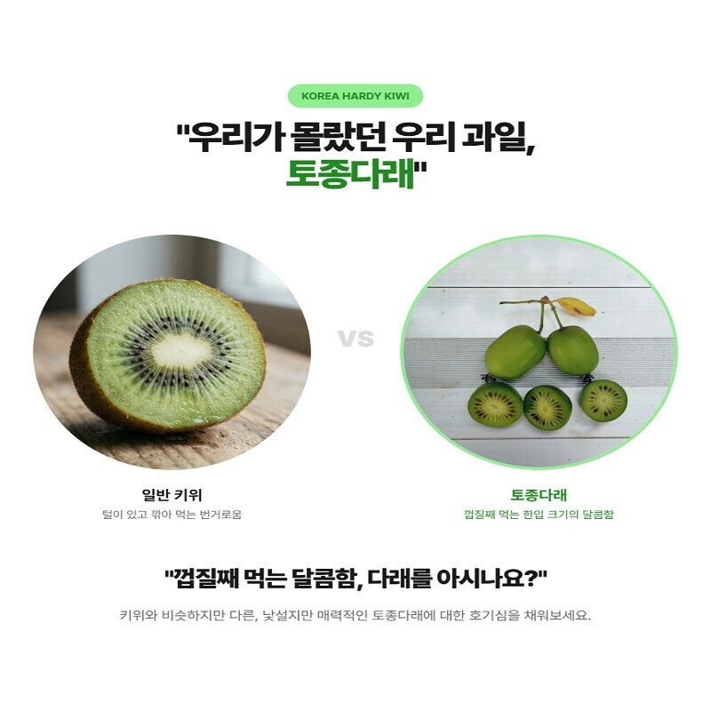 강원더몰,평창의 자연이 준 선물, 평창연화농원 토종다래수제청 만들기