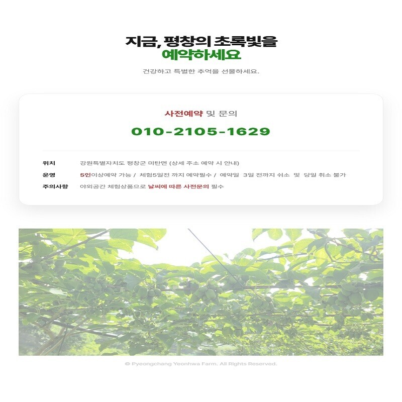 강원더몰,평창의 자연이 준 선물, 평창연화농원 토종다래수제청 만들기
